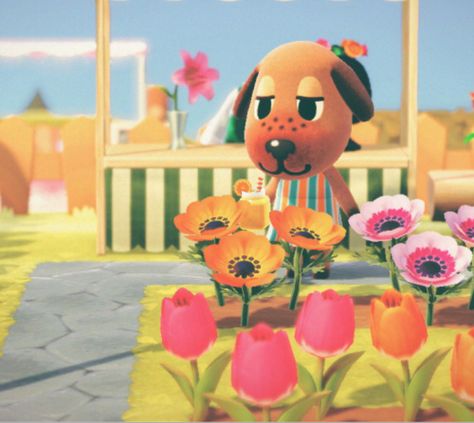 Bea Animal Crossing, Animal Crossing Characters, Character Collection, All Things Cute, Animal Crossing, A A, Nintendo, Dogs, Flowers