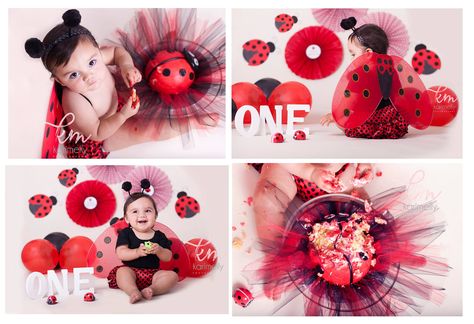 lady bug themed cake smash,first year photo session Ladybug 1st Birthday Photo Shoot, Ladybug Photoshoot, Cinderella Cakes, Cakes Creative, Cupcakes Fruit, Themed Cake Smash, Ladybug Cakes, Fruit Platters, Sophia Grace