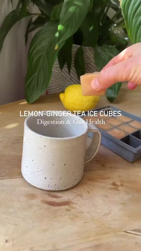 Lemon and Ginger Ice Cubes for better digestion and gut health 🍋 🫚 ‌ #reels #healthy #health #healthyeating #healthyrecipes #healthychoices #viral #ginger #healthtips #digestion | Health Wisdom | Health Wisdom · Original audio Ginger Ice Cubes, Tea Ice Cubes, Lemon Green Tea, Pineapple Detox, Smoothie Detox Cleanse, Nutritious Smoothie Recipes, Breakfast Juice, Green Tea Recipes, Better Digestion