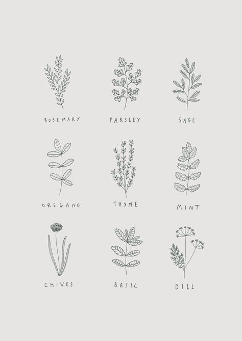 #doodles #flores #plantas Ryn Frank, Ftd Flowers, Herbs Illustration, Herb Art, Floral Drawing, Pola Sulam, 자수 디자인, Flower Quotes, Flower Doodles