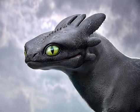 Realistic Toothless, Toothless Dragon, Dreamworks Dragons, Httyd Dragons, Rough Draft, Twisted Disney, Dragon Trainer, Night Fury, Dragon Pictures