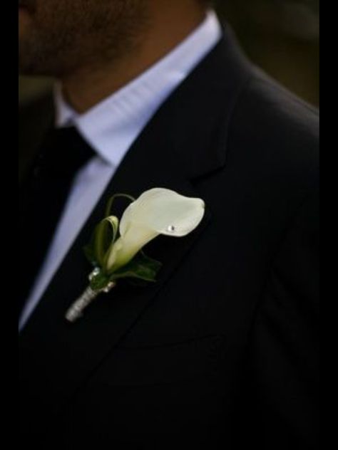 Calla Lily Wedding Flowers, Calla Lily Bulbs, Lily Boutonniere, Grooms And Groomsmen, Black Calla Lily, Calla Lily Boutonniere, Calla Lily Flowers, Cape Town Wedding, Inside Weddings