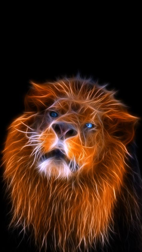 Fractal lion, lion attacks, lion's eyes, lion's grin, lion roaring, lion slow motion, lion looks, lion closeup, lion animation, lion king, lion abstract, lion art, lion animation, lion background, lion iphone wallpapers Lion Iphone Wallpaper, Space Live Wallpaper, Tiger Spirit Animal, Fire Lion, Lion Eyes, Lion Live Wallpaper, Wild Animal Wallpaper, Tiger Artwork, Wallpaper Video