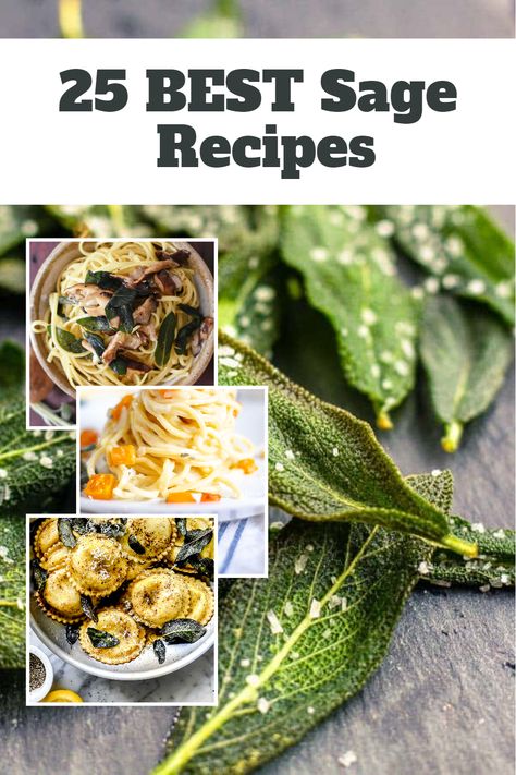 Balance heartiness and health with these 25 sage recipes, offering a combination of robust flavors and nutritious ingredients. How To Use Sage In Cooking, Sage Recipes Healthy, Cooking With Sage Recipes, Sage Dinner Recipes, Dinner Recipes With Sage, Cooking With Fresh Sage, Sage Herb Recipes, Dried Sage Recipes, Summer Sage Recipes