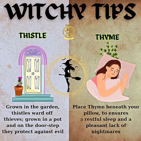 Witchy Tips 🧙‍♂️ 🪄 🧹 🧙‍♀️ Blessed be. How many of you will say Blessed Be? #witchmemes #witchcraft #witchlife #witchtips #wordsofwisdom #themagickcabinet #witchwords #witchmemes Witchy Tips For New Home, Witchy Blessings, Witchy Practices, Kitchen Witches, Divination Witch, Paganism Spells, Witch Tips, Witchy Tips, Pagan Spirituality