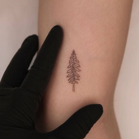 Pine Tree Tattoo, Continuous Line, Little Tattoos, Tree Tattoo, Piercing Tattoo, Tattoo Inspo, Fine Line, Pine Trees, Pine Tree