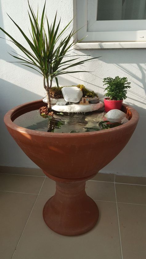 Miniature Water Garden: Create a small water garden in a container with floating plants and a mini pump for a delightful miniature ecosystem.  Hashtags: #SmallGardenIdeas #WaterFeature #GardenDesign #FountainDesign #OutdoorDecor #TranquilSpaces #DIYFountain #UrbanGarden #SustainableLiving Fountain In Garden, Water Fountain Ideas, Water Feature Ideas, Fish Tank Garden, Small Water Gardens, Witchy Garden, Aquarium Garden, Fountain Ideas, Fish Pond Gardens