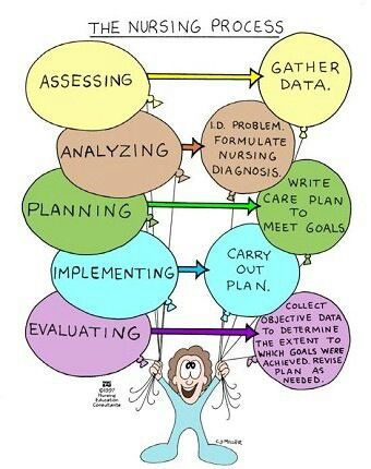 the nursing process (aapie) Nursing Fundamentals, Nursing Information, Nursing Assessment, Nursing Study Guide, Nursing Diagnosis, Nursing Exam, Nursing Process, Nursing Mnemonics, Nursing Care Plan