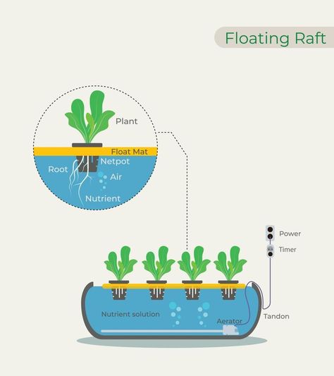 Illustration of Hydroponic using Floating Raft, Deep Water Culture DWC Deep Water Culture, Floating Raft, Vector Portrait, Deep Water, Hydroponics, Rafting, Floating, Vector Free, Clip Art