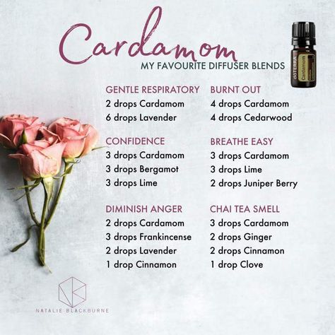 Cardamom blends. Cardamom lavender lemon Frankinsense bergamot cinnamon Cedarwood juniper berry clove Essential Oil Spray Recipes, Cardamom Essential Oil, Doterra Diffuser Blends, Essential Oil Combinations, Doterra Essential Oils Recipes, Essential Oil Diffuser Blends Recipes, Young Living Essential Oils Recipes, Essential Oils Herbs, Essential Oil Diffuser Recipes