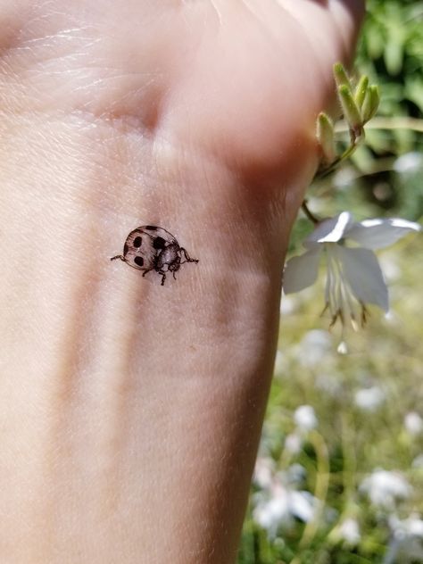 Four Leaf Clover With Ladybug Tattoo, Yellow Ladybug Tattoo, Small Worm Tattoo, Two Ladybugs Tattoo, Small Ladybug Tattoo Black And White, Realistic Ladybug Tattoo, Tiny Ladybug Tattoo Simple, Ladybug Tattoo Small Simple, Ladybug Tatoos