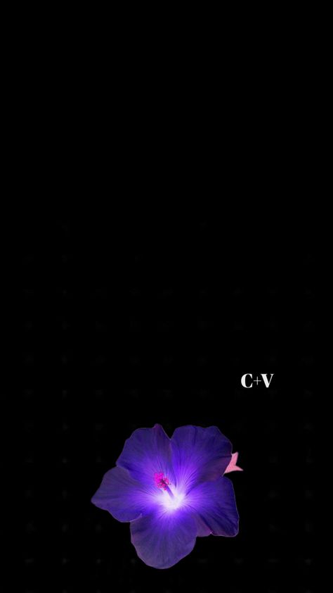 c+v wallpaper V Flower, V Wallpaper, Pretty Landscapes, Flower Wallpaper, Initials, Iphone, Purple, Flowers