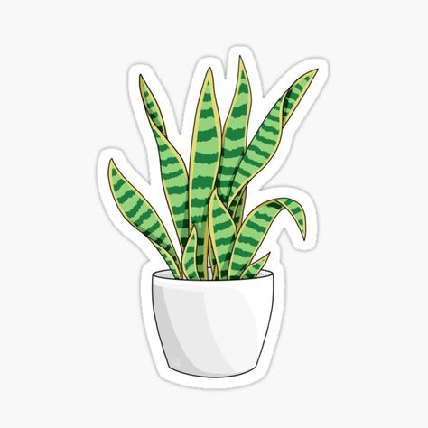 Green and yellow Sansevieria snake plant aesthetic sticker Plants Printable, Snake Plant Illustration, Snake Plant Drawing, Plants Stickers, Plant Stickers, Green Sticker, Nature Stickers, Scrapbook Stickers Printable, Plant Drawing