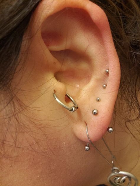 Transverse lobe multiple piercings tragus Piercings Tragus, Transverse Lobe, Piercings Ear, Ear Piercings Chart, Piercing Chart, Piercing Inspo, Multiple Piercings, Tragus Piercing, Piercing Ideas