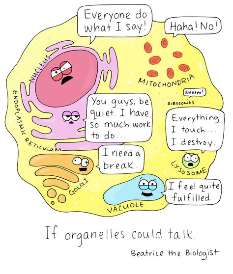 Science Teacher Humor, Biology Jokes, Science Comics, Plant And Animal Cells, Cells Project, Earth Projects, Organic Molecules, Teaching Secondary, Animal Cell