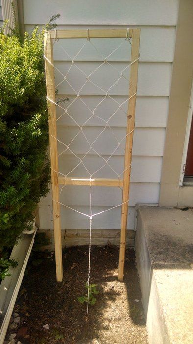 Macrame Trellis, Trellis Gardening, Garden Trellis Designs, Diy Trellis Ideas, Backyard Garden Patio, Creative Gardens, Dream Backyard Garden, Design Backyard, Diy Garden Trellis