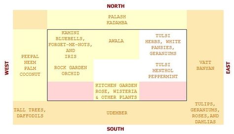 vastu-trees-plants Plants For Terrace, Office Vastu, Kitchen Vastu, Tulasi Plant, Vastu For Home, House Vastu, Vastu Remedies, Oxygen Plant, Vaastu Shastra