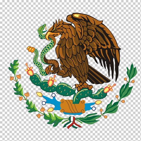 Mexican Flag Drawing, Mexican Flag Eagle, Mexican American Culture, Mexican Eagle, Flag Drawing, Egypt Flag, Eagle Drawing, Mexico Map, Aztec Tattoo