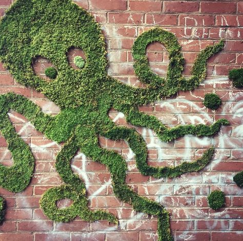 The Art of Moss Graffiti and How to Do it Yourself Moss Graffiti Art, Garden Wall Graffiti Ideas, Moss Paint, Moss Graffiti, Guerrilla Gardening, Wall Logo, Reading Art, Moss Wall, Creative Artwork