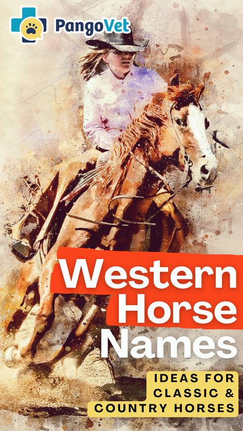 We have both modern and timeless options among our list of female and male names, cowboy and cowgirl ideas, old west options, and of course, famous western horses. Western Horse Names List, Western Horse Names, Horses Names, Horse Name Ideas, Buckskin Horses, Western Names, Buckskin Horse, Male Horse, Cowboy Crafts