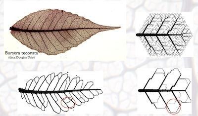 Biomimicry Architecture, Concept Models Architecture, Pavilion Architecture, Famous Architecture, Conceptual Architecture, Architecture Sketchbook, Architecture Concept Diagram, Architecture Design Sketch, Architecture Design Drawing