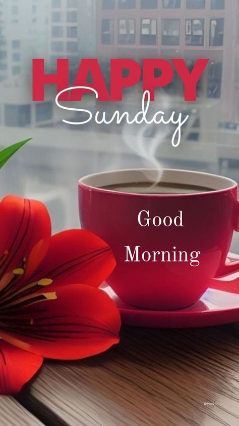 Sunday Morning Prayer, Sunday Morning Wishes, Morning Ideas, Gd Mrng, Happy Sunday Images, Good Morning Sunday Images, Happy Sunday Morning, Sunday Greetings, Happy Day Quotes