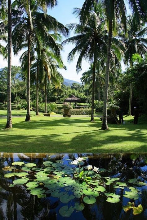 Tired of typical getaways? Try these resorts in the Philippines, which not only provide incredible comfort, but unique concepts to make your stay memorable. Garden Bed Garden, House Landscaping Ideas, Ancestral House, Xeriscape Plants, Unique Resorts, Paradise Pictures, Hotel Landscape, Painting Garden, Tropical Garden Design