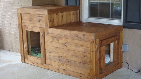 diy insulated and heated dog house Heated Dog House, Double Dog House, Diy Insulation, Cat House Plans, Feral Cat Shelter, Build A Dog House, Niche Chat, Diy Dog Kennel, Outdoor Dog House