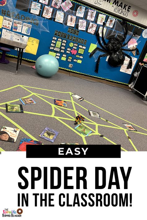 Spider Classroom Transformation, Spider Math Activities, Spider Life Cycle, Parts Of A Spider, Classroom Transformation Ideas, Spider Lessons, Spider Facts, Elementary Reading Activities, Second Grade Classroom