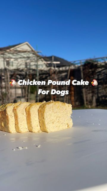 Meet The Chows | Anny & Rambo on Instagram: "👇🏻 Try this 2-Ingredient chicken cake for your dogs. If your dogs loves chicken, they are going to love this! Ingredients: * 1/2 pound cooked chicken breast * 3 eggs How to make chicken pound cake for dog: * blend cooked chicken breast with egg yolk in @nutribullet * whipped egg white * fold chicken and egg yolk mixture into whipped egg white * bake it at 350 for 20mins * topped with @honestkitchen goat milk topper Follow @meetthechows for more healthy homemade DoD treat idea! #cookfordog #cookingfordogs ##homemadedogfood #homemadedogtreats #honestkitchen #organicdogtreats #organicdogfood #healthydog #recipe #dogrecipes #healthydogfood #healthydogtreats #feedrealfood #honestkitchen #ferapetorganics #ferapets #diydogtreats #nutriti Chicken Cake For Dogs, Egg White Bake, Dog Cake Recipes, Organic Dog Food, Chicken Cake, Organic Dog Treats, Chicken For Dogs, Diy Dog Treats, Dog Cakes