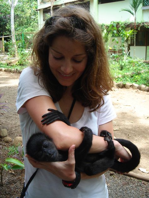 Costa Rica Animals, Destination Vacation, Animal Rescue Center, We Are All Human, Volunteer Abroad, Passion For Life, Gap Year, The Animals, Study Abroad