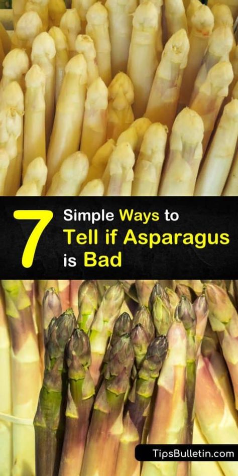 All your questions regarding the shelf life of asparagus spears are answered in this article including tips on how to store asparagus and other veggies, if the dark green color is normal, and even what to do with that pesky rubber band that holds them together. #badasparagus #asparagus #bad What To Do With Asparagus, Freezing Asparagus, How To Store Asparagus, Canning Salt, Low Acid Recipes, Vegetable Benefits, White Asparagus, Fresh Asparagus, Dark Green Color