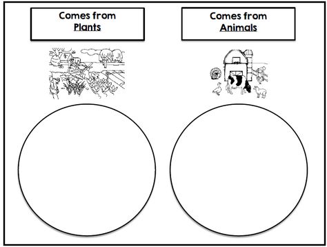 Where Does It Come From Food Sort Where Food Comes From Activities, Kindergarten Vocabulary, Daycare Lesson Plans, Food Lessons, Science Food, Kindergarten Projects, Food Vocabulary, French Activities, Food Activities