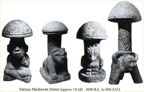 The significance of Guatemalan mushroom stones went undetected until connected with Spanish records of Mexican priests Unexplained Phenomena, Ancient Origins, Mushroom Art, Adventures In Wonderland, Ancient History, Ancient Art, Archaeology, Stuffed Mushrooms, Neon