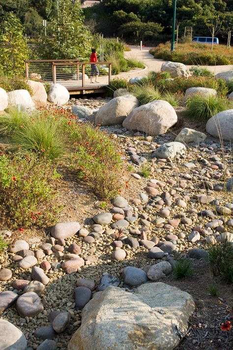 Rock Swale, Retention Pond, Encinitas California, Wetland Park, River Rock Landscaping, Landform, Urban Forest, Pond Landscaping, Dry Creek