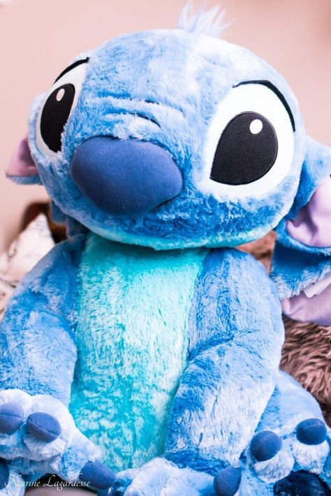 Lilo And Stitch Toys, Pig Plushie, Disney Stuffed Animals, Stitch Toy, Teddy Bear Pictures, Disney Memories, Stitch Clothes, Cute Stitch, Disney Plush