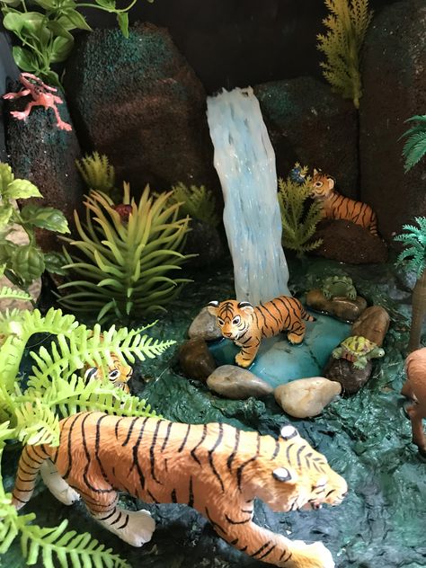 Bengal Tiger Shoebox diorama. We made the rocks from styrofoam, the ground from paper mache, and the water fall is made of clear caulk. The pond was made using “realistic water” found at Michaels. Tiger Habitat Diorama, Tiger Diorama Habitat, Savannah Biome, Pond Diorama, Biome Diorama, Rainforest Diorama, Endangered Animals Project, Shoebox Diorama, Habitat Diorama