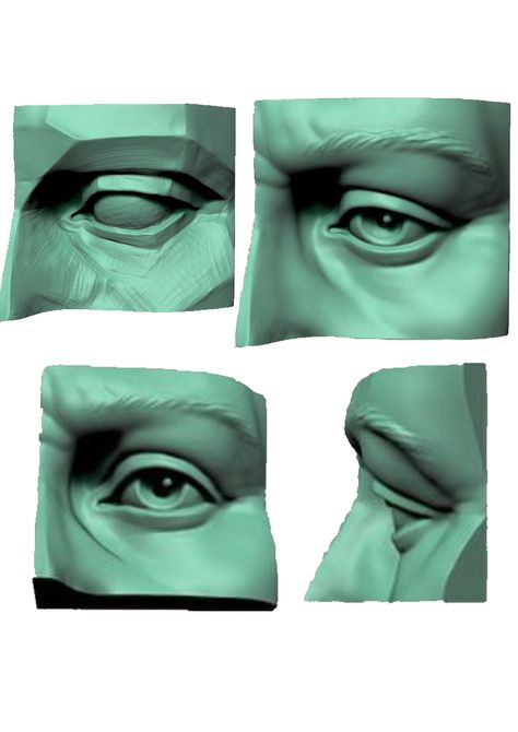 Eye Model Anatomy, Eye Sculpting, Eye Sculpt, Eyes Anatomy, Eye Sculpture, Zbrush Anatomy, Eye Structure, 3d Anatomy, Eye Anatomy