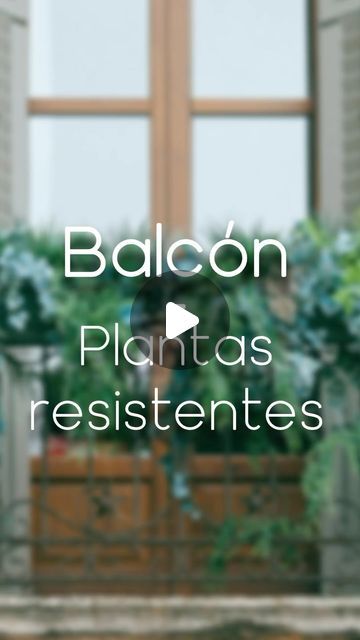 Balcony Plants Ideas, Plantas Exterior, Gnarls Barkley, Ideas Terraza, Ideas Jardin, House Things, Green Life, Exterior, Green