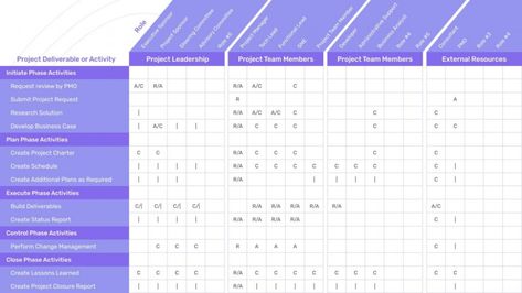 RACI Matrix Chart Template Excel - ExcelTemple Chart Template, Excel Templates, Project Plans, Team Leader, One Team, Project Management, Software Development, Matrix, Quick Saves