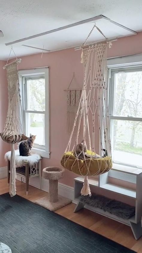 Cat Spaces In Home, Cat Room Ideas Diy, Cats House Ideas, Cat Room Ideas Small Spaces, Cat House Design, Room Ideas Small Spaces, Cat Room Ideas, Katt Grejer, Cat Patio