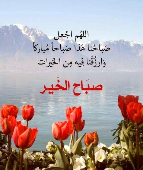 Good Morning Quotes In Arabic, Morning Quotes In Arabic, Quotes In Arabic, Islamic Books For Kids, New Year Wishes Images, Morning Words, Good Morning Arabic, Bliss Quotes, Beautiful Morning Messages