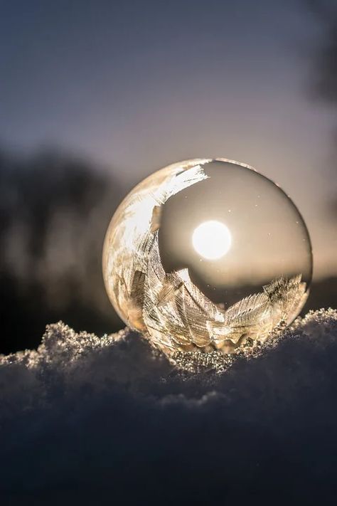 Soap Bubble Frozen - Free photo on Pixabay Pixabay Image Free Photos, Frozen Bubbles, Frozen Free, Forest Adventure, Snow Crystal, Snow Covered Trees, Fajardo, Close Up Photography, Moon Photography