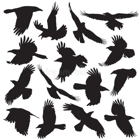 Crows Silhouette, Black Crow Tattoos, Raven Silhouette, Flying Raven, Reaper Drawing, Crow Flying, Crow Silhouette, Crows Drawing, Vogel Silhouette