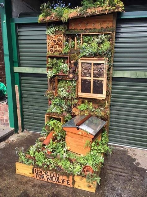 Look at this! 😍 Vertical gardens are wonderful for wildlife and a great idea if you have a yard instead of a garden. 🌱  Made by the RHS level 2 group from Askham Bryan College York, it won 1st prize in the category of vertical gardens. 🏆 Landscape Garden Ideas, Gardener Aesthetic, Garden Aesthetics, Side Patio, Wallpaper Garden, Landscape Garden Design, Gardening Aesthetic, Bee Stuff, Bee Hotel