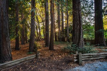 Landscape Design Ideas, Pictures, Remodels and Decor Rustic Fence Ideas Country Living, Rustic Fence Ideas, Log Fence, Fence Design Ideas, Fence Trees, Easy Fence, Country Fences, Fence Planters, Rustic Fence