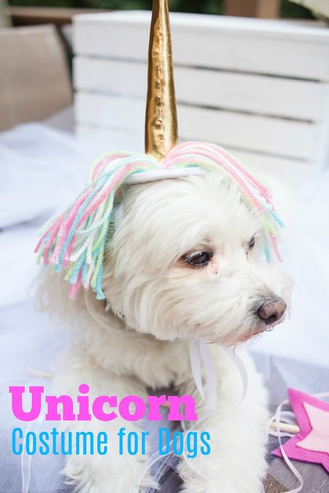 First of all, how cute is my pup tate? Chan dressed him up in a magical DIy unicorn costume! Learn how to make it on our site! Unicorn Dog Costume, Diy Pet Costumes, Diy Unicorn Costume, Best Dog Halloween Costumes, Costume For Dogs, Great Costume Ideas, Diy Unicorn, Diy Dog Costumes, Unicorn Costume