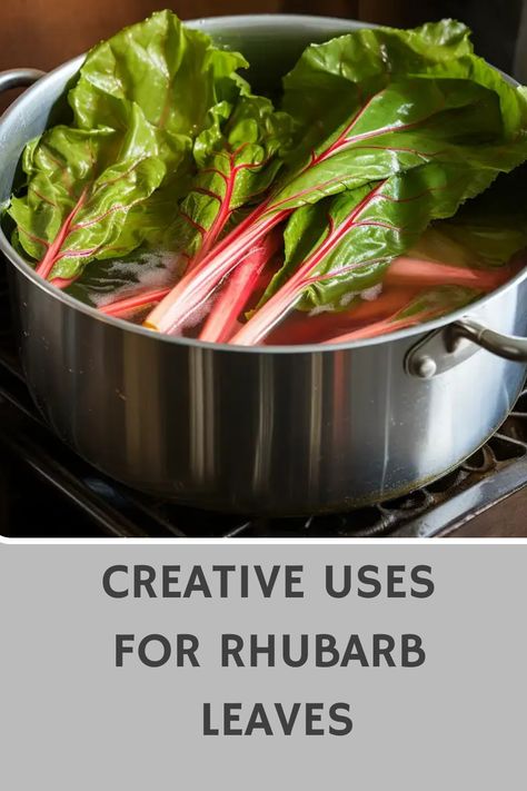 Explore the various creative ways you can utilize rhubarb leaves in your garden and home! From natural dyeing to crafting beautiful artwork, these versatile leaves have so many exciting possibilities. Discover inspiring ideas to make the most of this often overlooked resource. Whether you're a plant lover or DIY enthusiast, there's something for everyone with these innovative uses for rhubarb leaves. Let your creativity bloom and give those vibrant greens a new purpose! Mini Succulent Garden, Leaf Mulch, Pest Repellent, Oxalic Acid, Weed Barrier, Worm Farm, Pressed Leaves, Natural Dyeing, Unique Planter