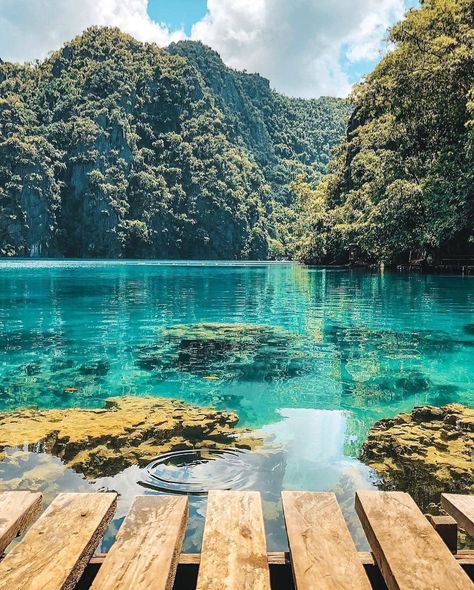 Kayangan Lake, Coron Palawan, Philippines Travel, Coron, Palawan, Explore Nature, Vacation Places, Beautiful Places To Travel, Beautiful Places To Visit