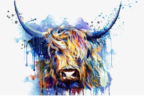 I want to find out where this image came from? Anyone know who it is by or where I can legitimately order a print of it? Scottish Highlander Cow Painting  scottish highland cow scotty cow Cow Canvas Painting, Highland Cow Tattoo, Highland Cow Pictures, Highland Cow Painting, Cow Photography, Cow Tattoo, Highland Cow Art, Bull Art, Bull Tattoos